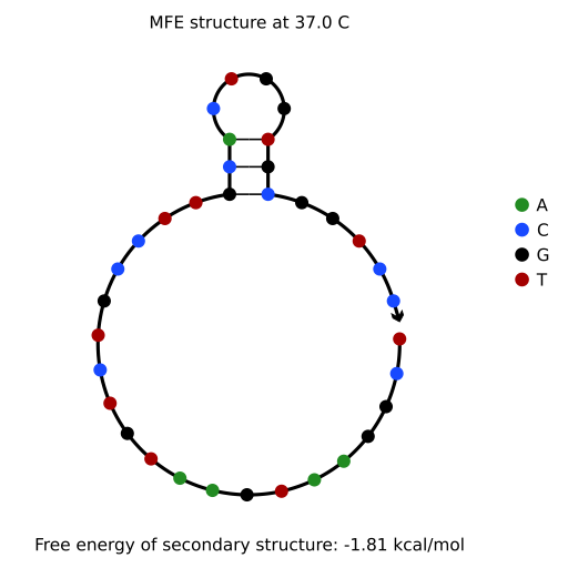 SL1108_18 structure