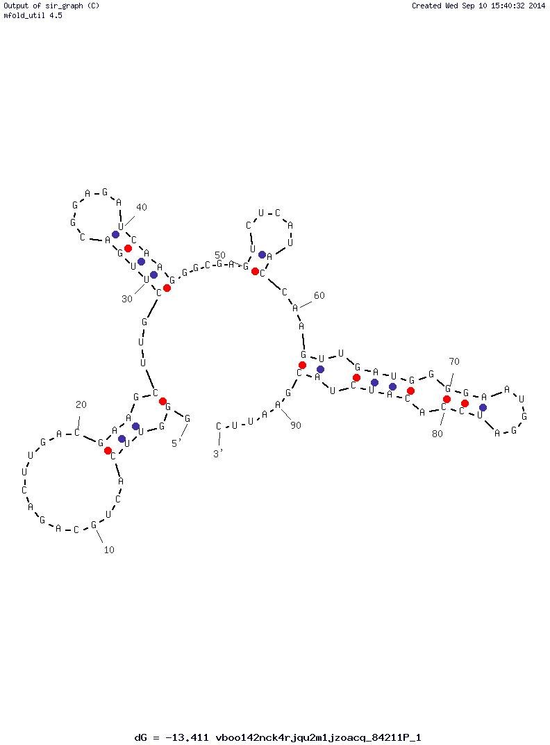 HA 12-16 structure