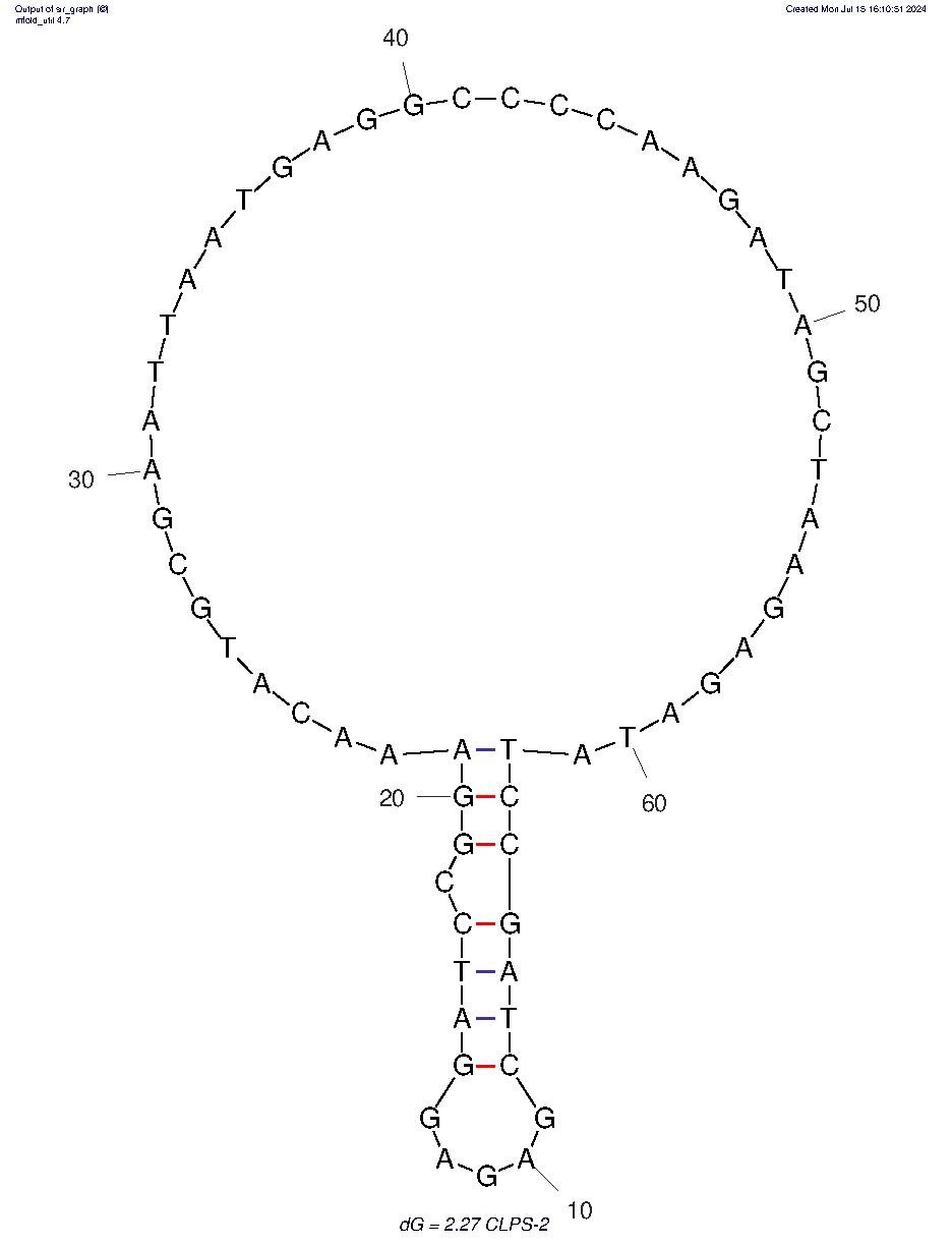 CArah1-1 structure