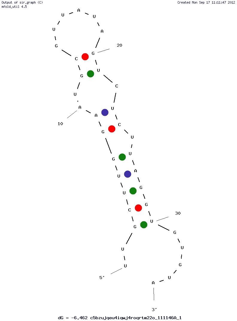 SP6 RNA polymerase (S05) structure