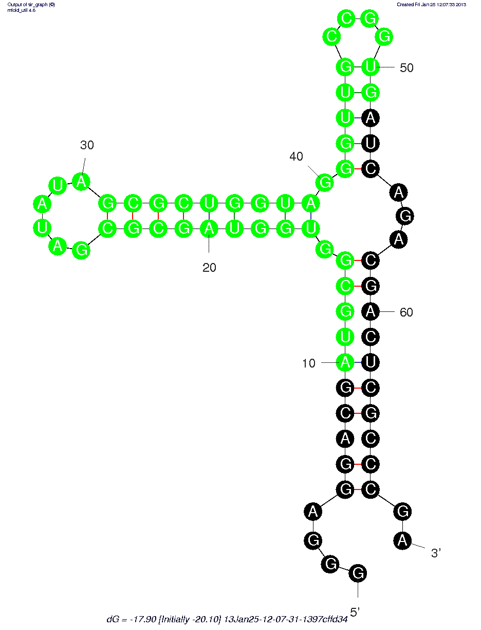 Interferon-γ (2’NH2-17) structure