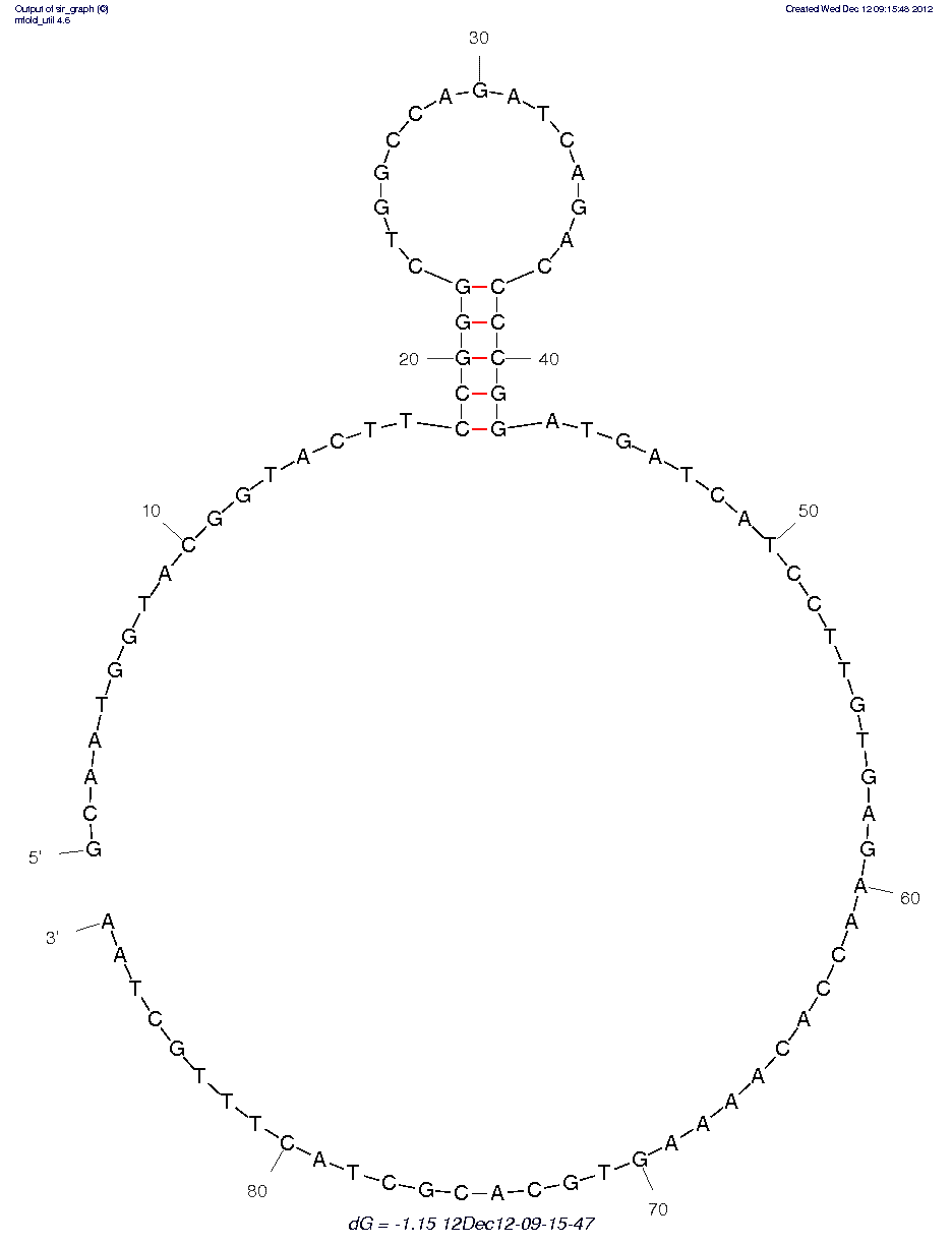 Staphylococcus aureus (SA23) structure