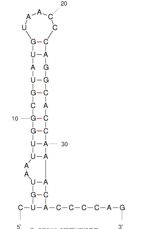 R5A1 structure
