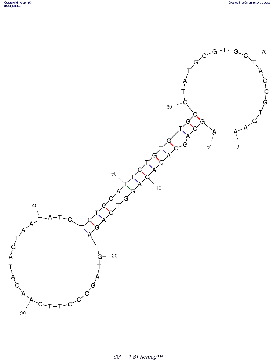 Lactobacillum acidophilius (hemag1P) structure