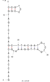 LM3 structure
