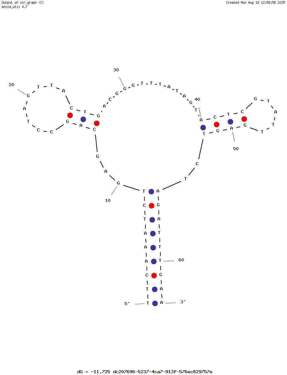 ML11 structure