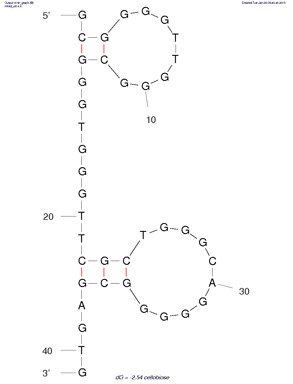Cellobiose (Cel#16) structure