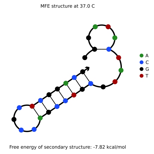 SL1111_20 structure