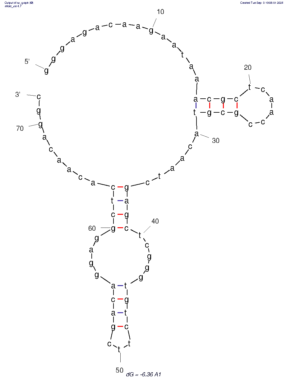 A1 structure