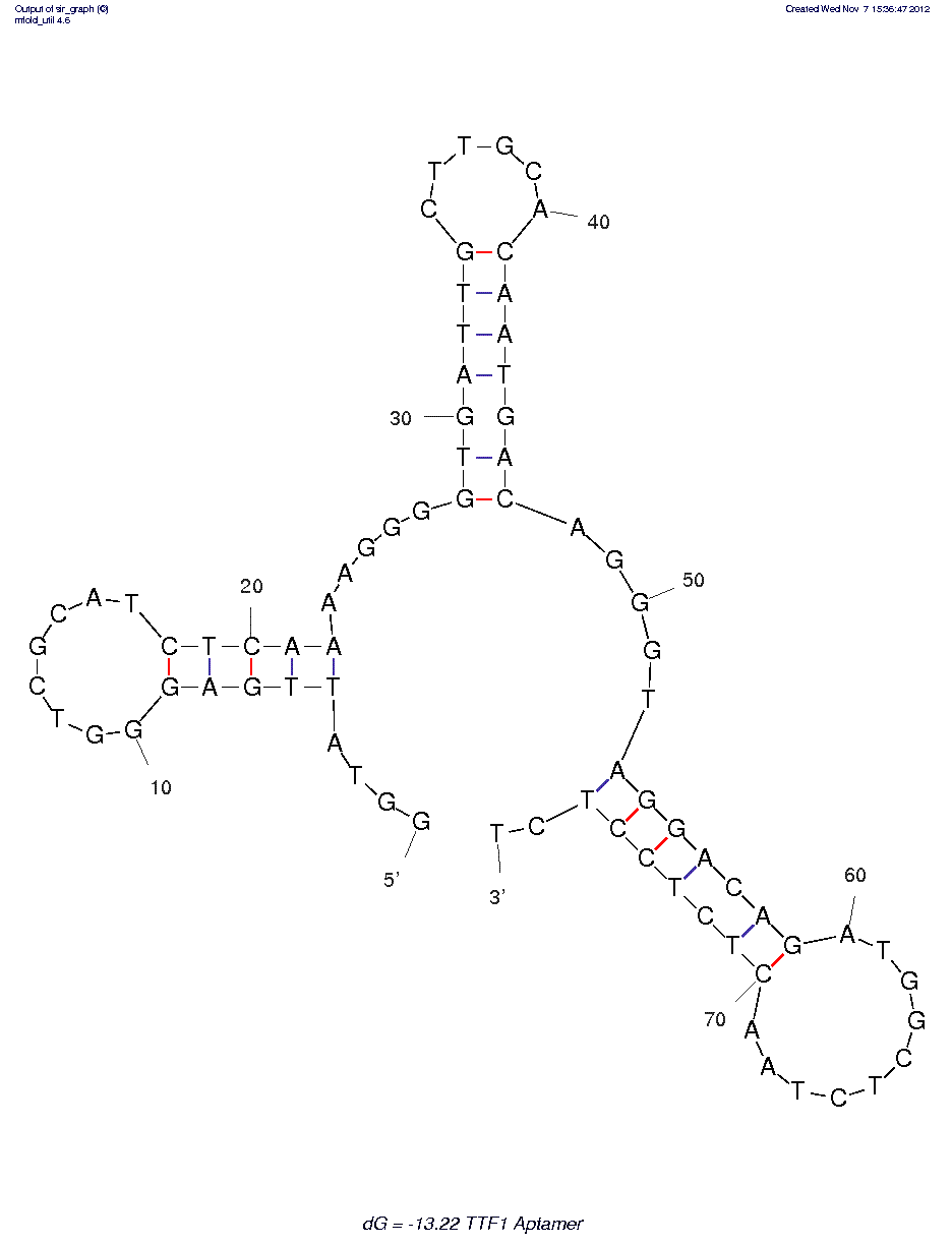 TTF1 (A) structure