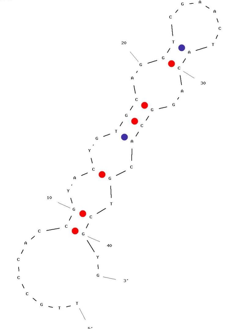 XA-B217 structure