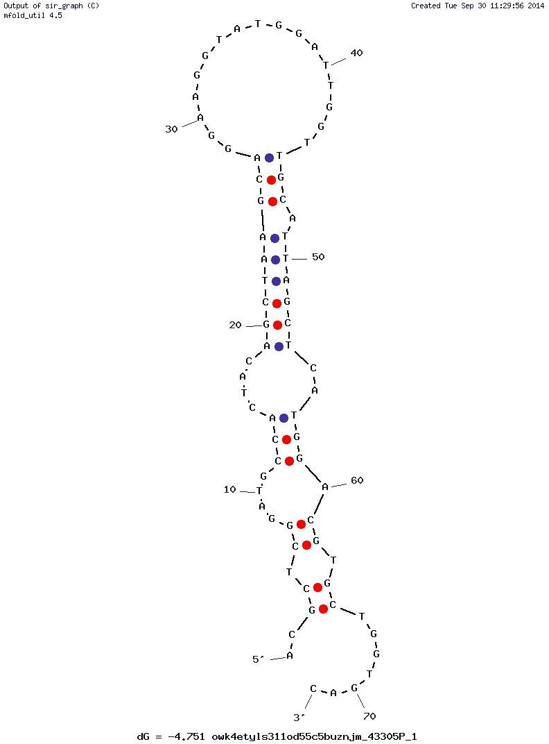 M13a structure