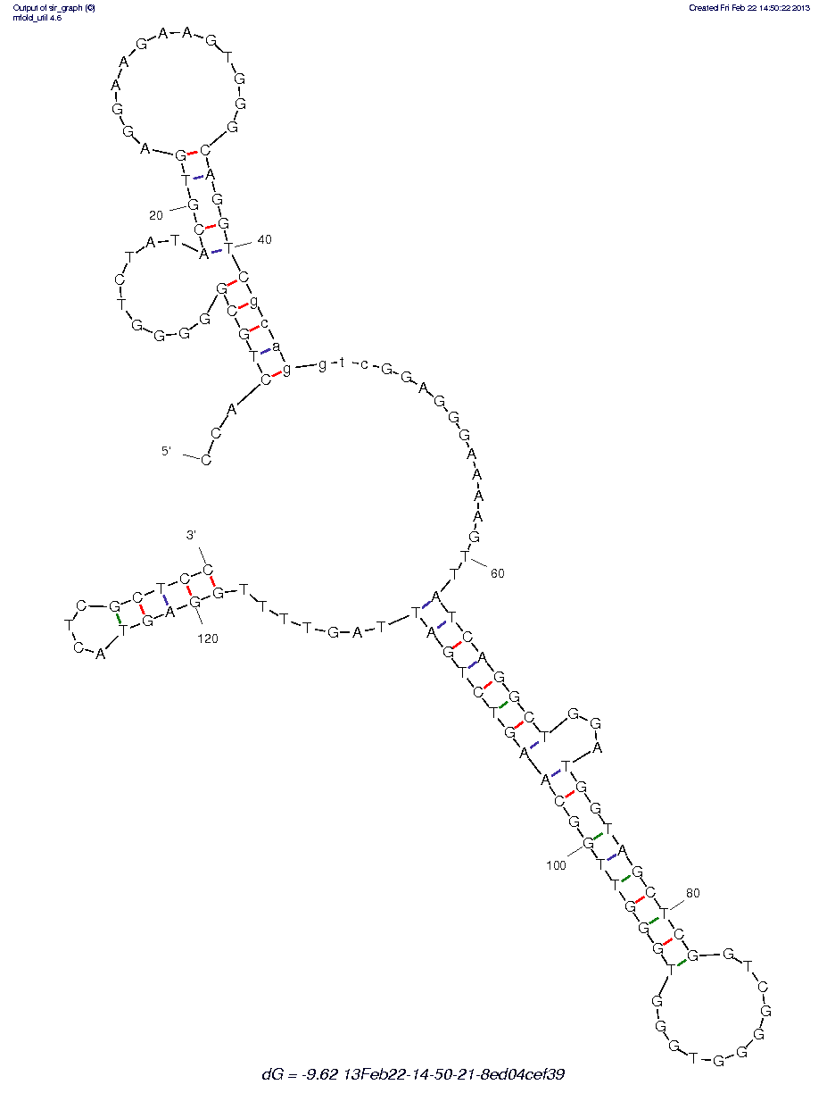 ADCC Bi-specific Aptamer (bsA17) structure
