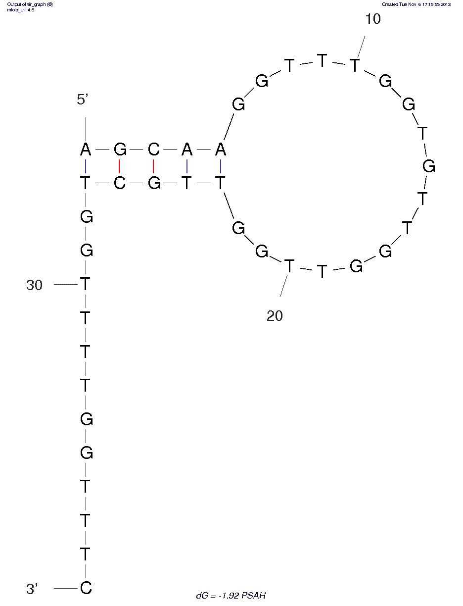 Apple Stem Pitting Virus of PSAH PearIsolate structure