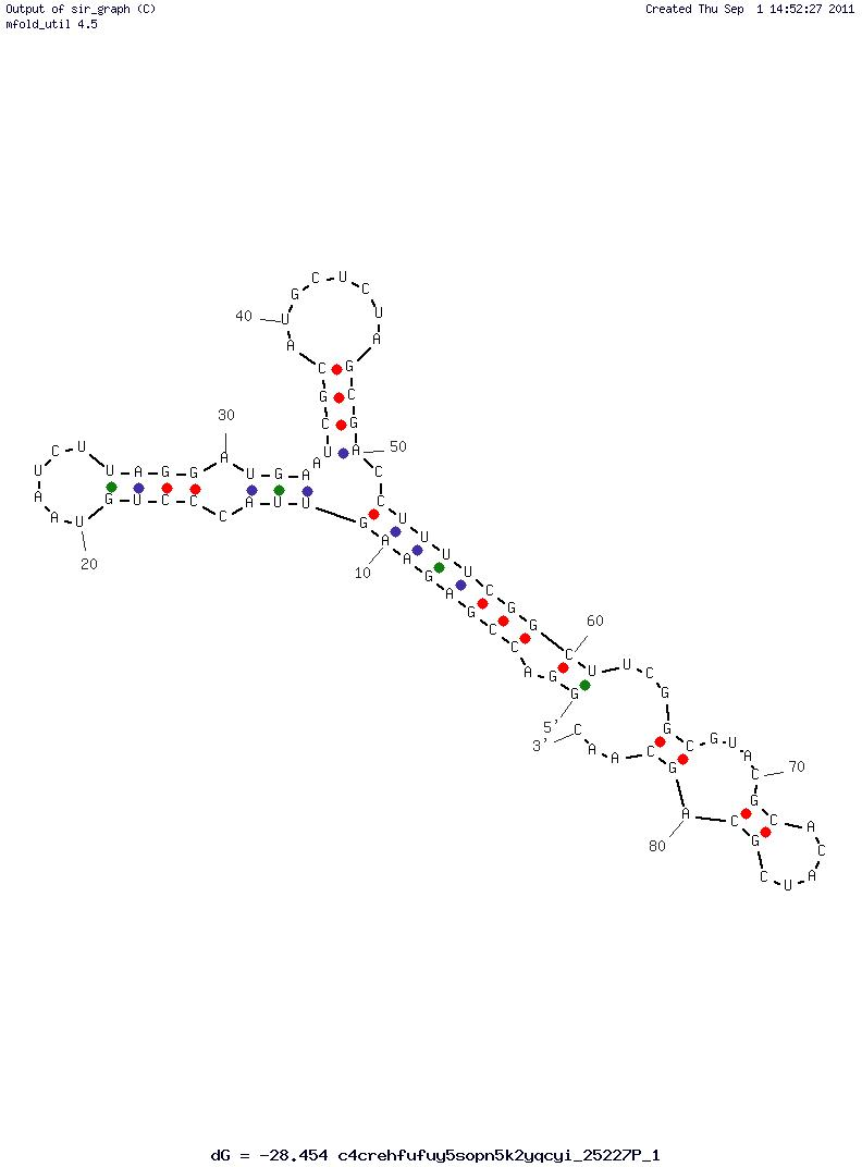 E. Coli Release Factor 1 (Clone II-1) structure