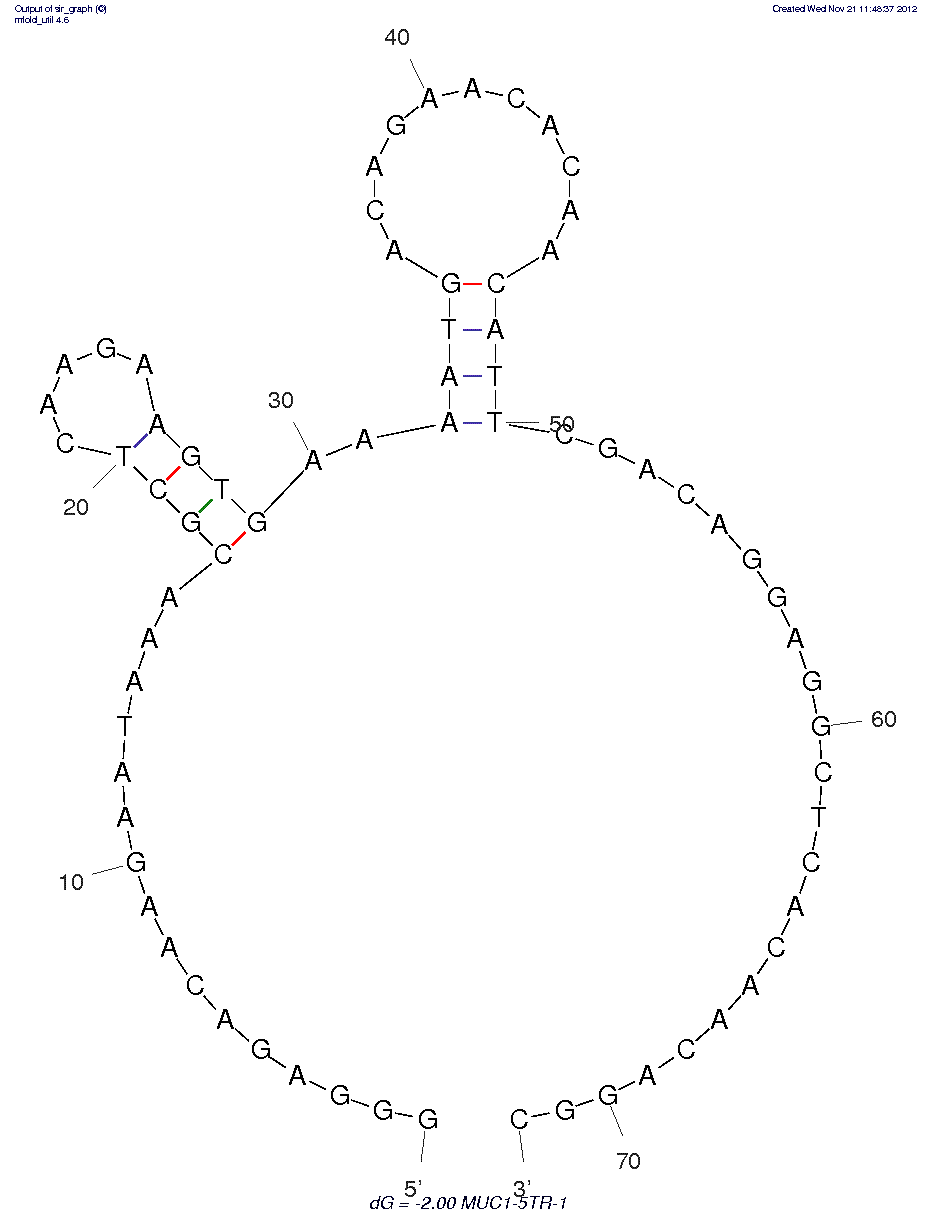 MUC1 Tumor Marker (MUC1-5TR-1) structure