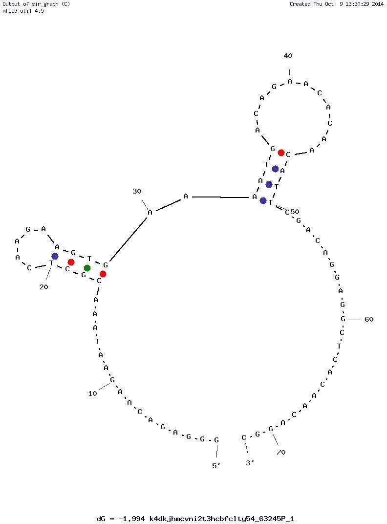 MUC1-5TR-1 structure