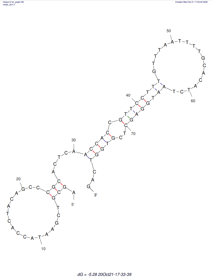 21st clone structure