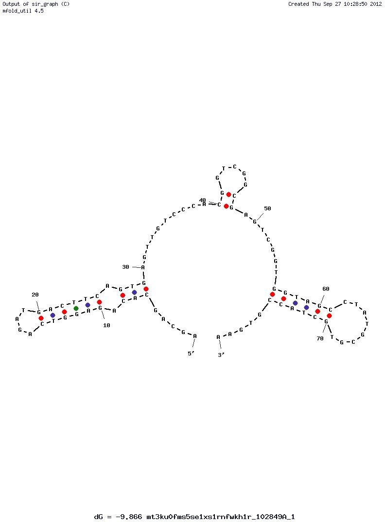 Chloramphenicol-binding aptamer(c7) structure