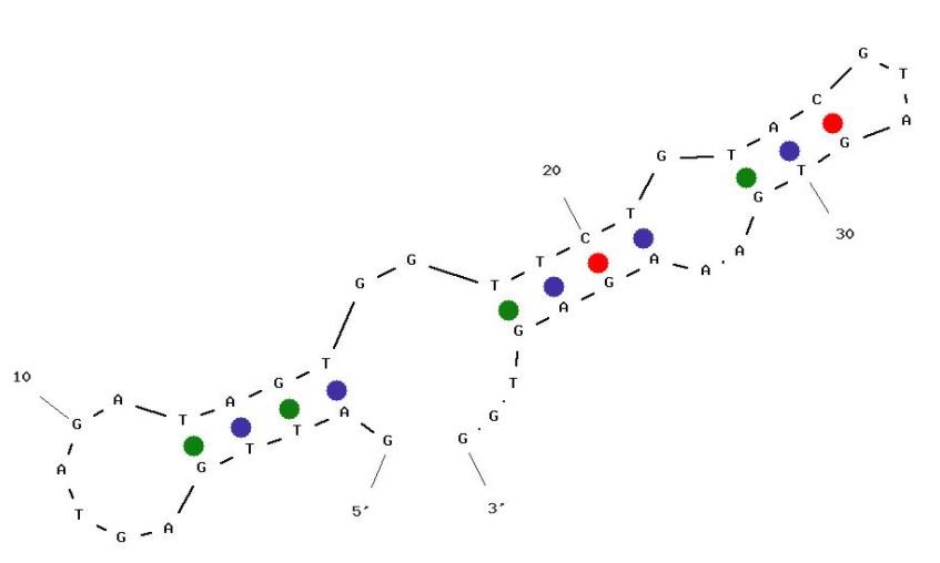 N5 structure