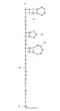 EC1 structure