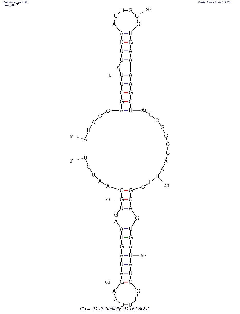 SQ-2 structure