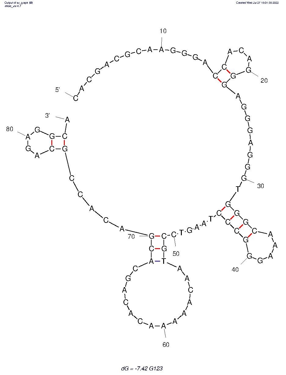 G123 structure