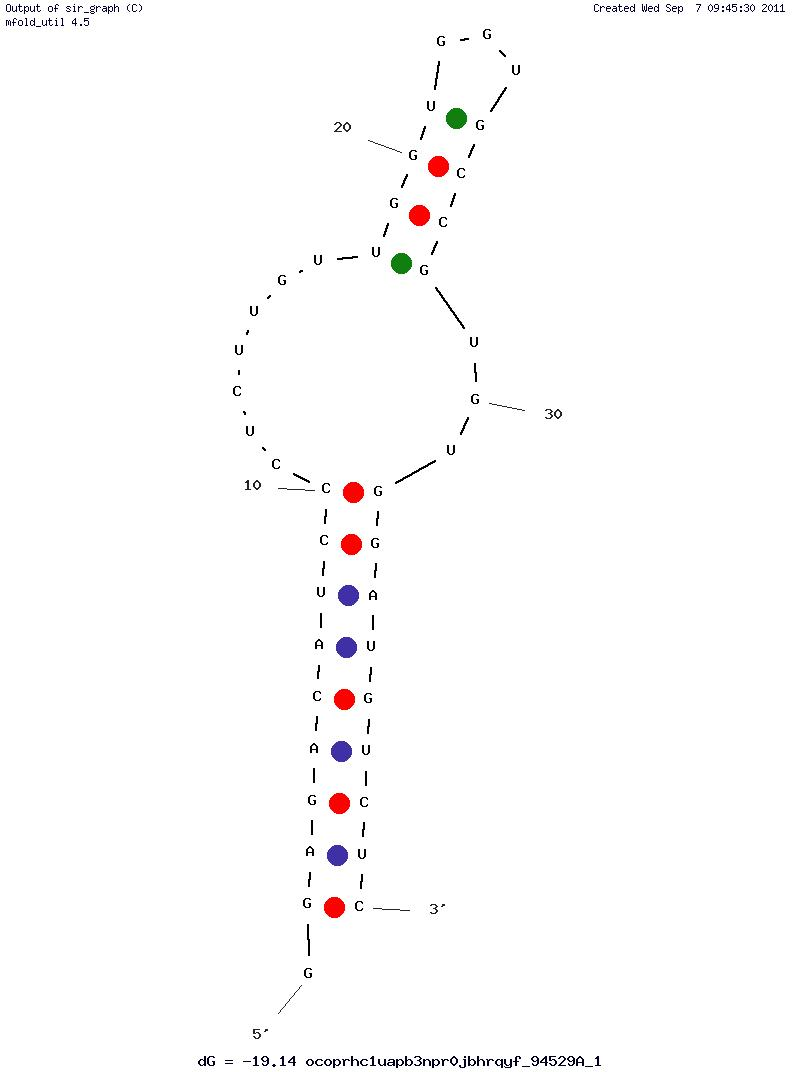 HIV-1 Nuceocapsid structure