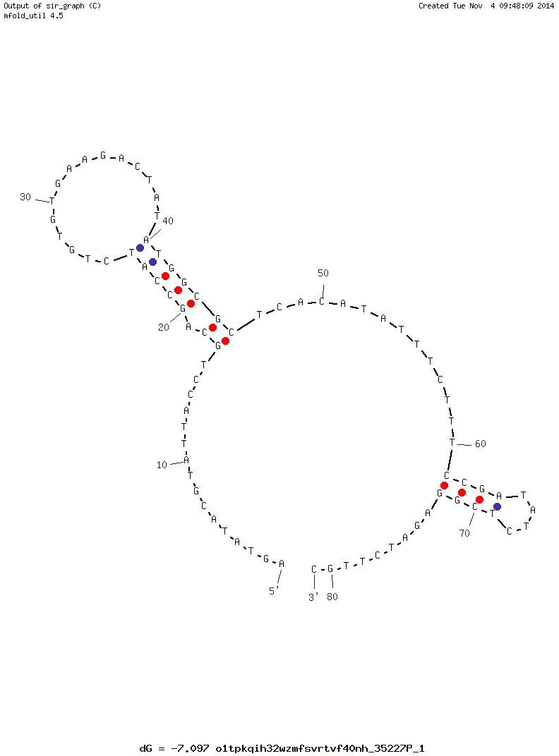 Human Norovirus SMV-25 structure