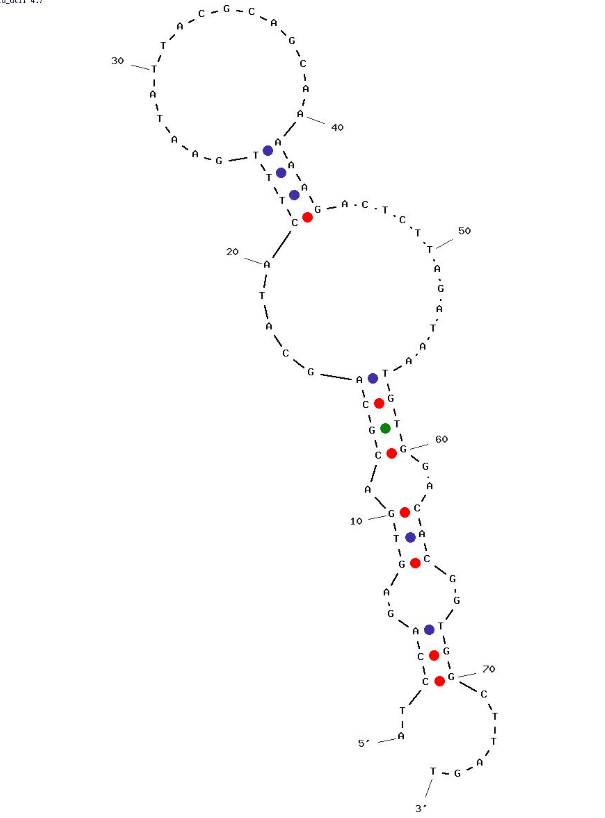 4VA-Apt9 structure