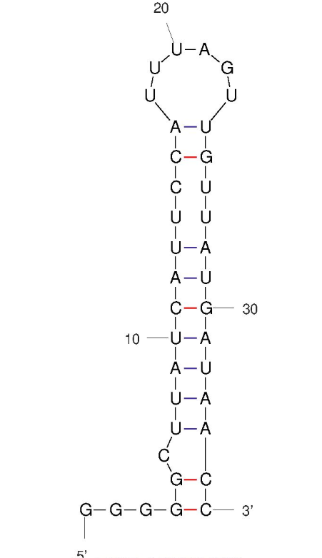 8A-35 against Interleukin-8 (IL-8) structure