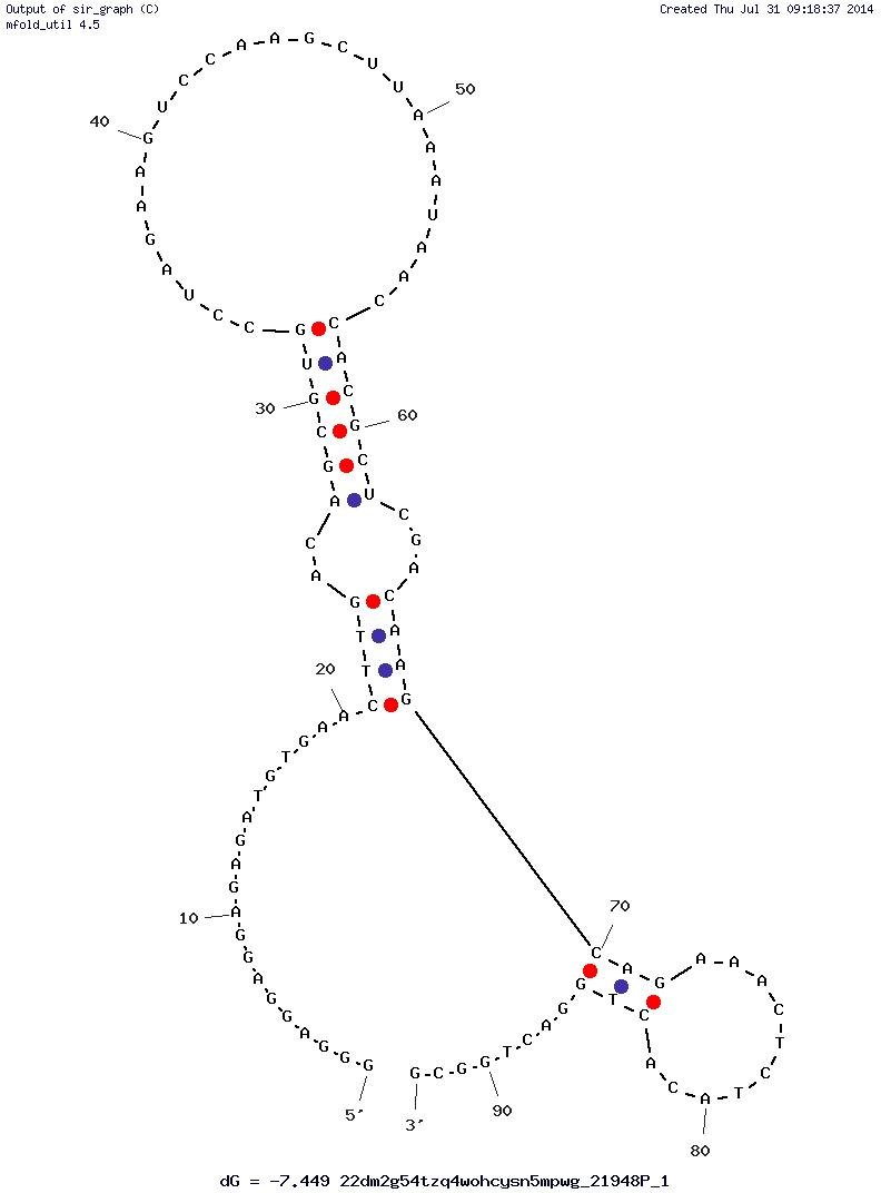 Botulinum neurotoxin type A (BoNT A) Aptamer (S132B-C22) structure