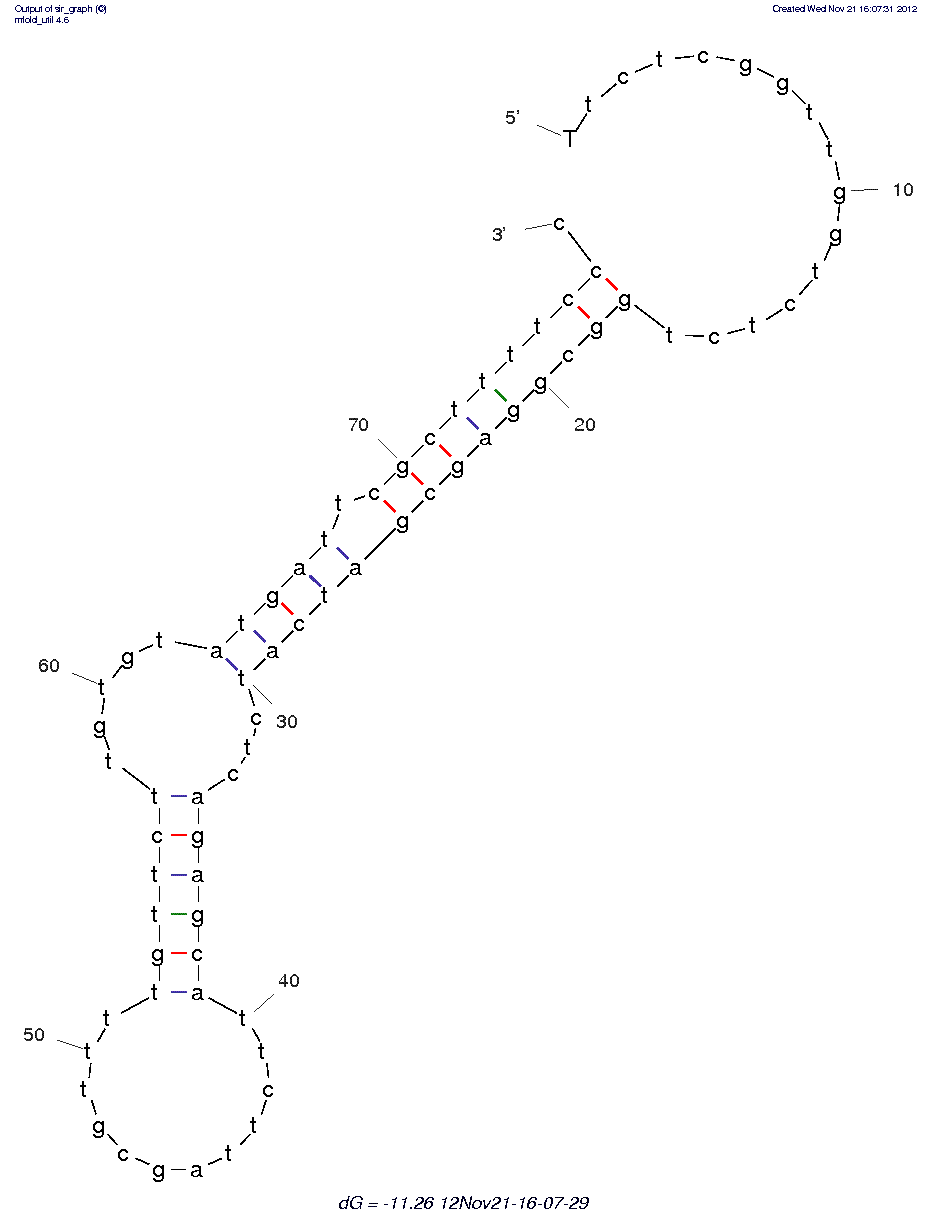 Taq DNA polymerase (TQ21) structure