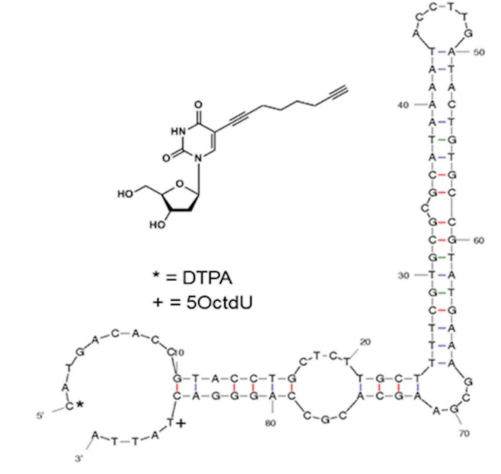 Ion-OspA-59 structure