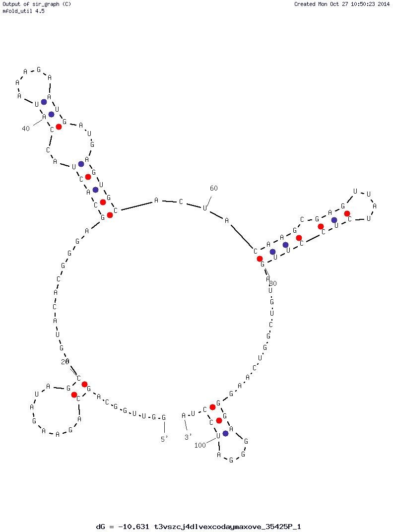 ATP C32 structure