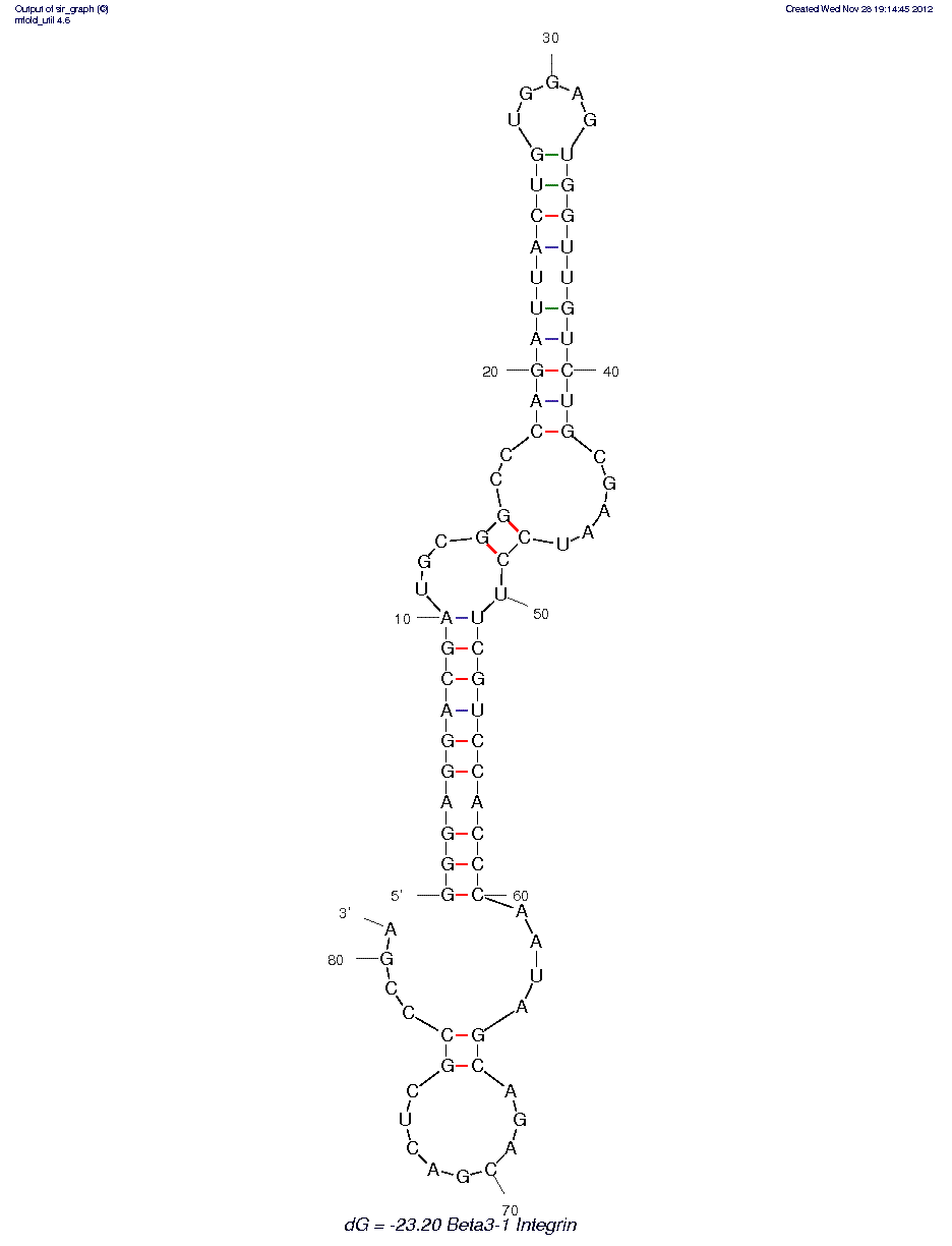 Integrin ??3 subunit (??3-1) structure