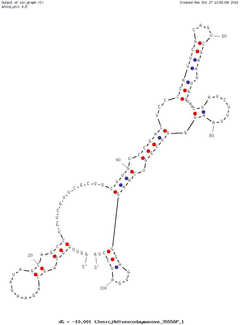 ATP C20 structure