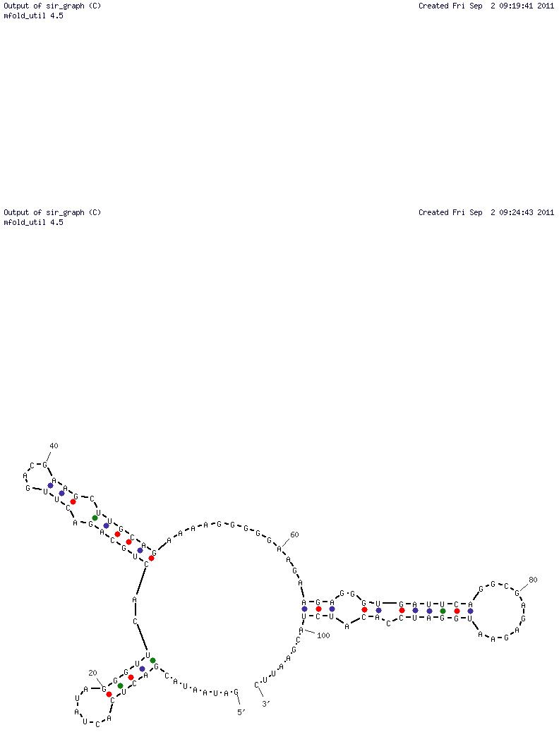 SARS Coronavirus NTPase/Helicase (ES15-1) structure