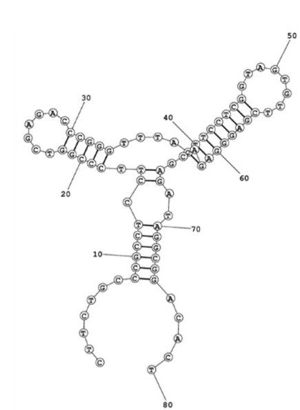 M02 structure