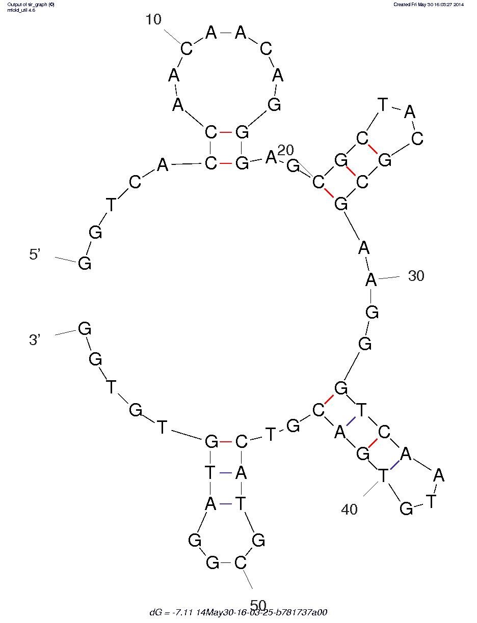 Okadaic Acid Aptamer (OA-34) structure