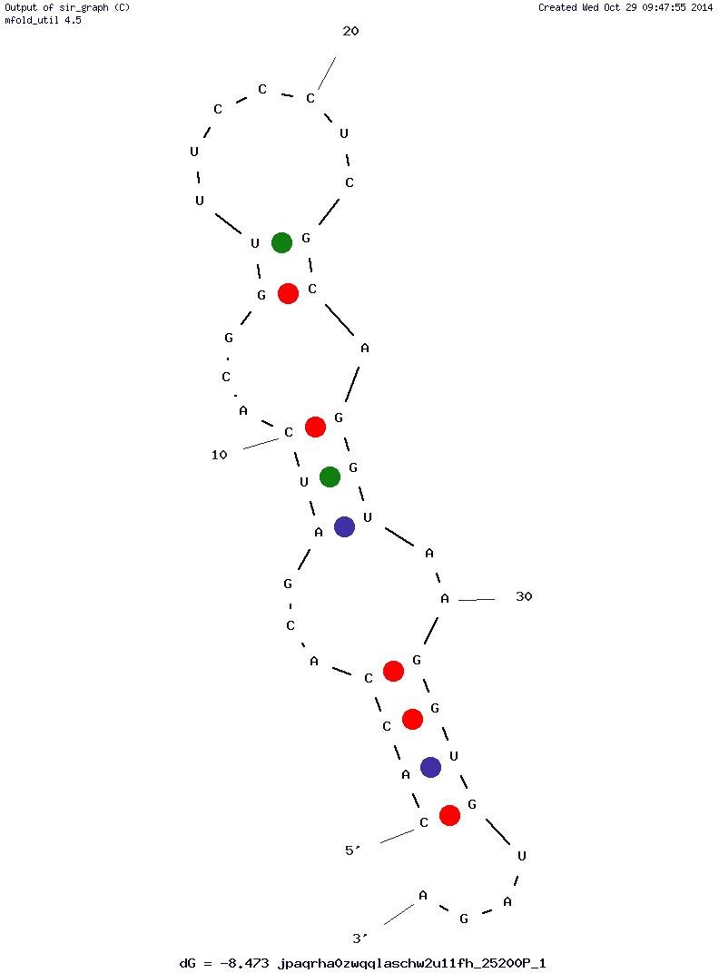 Mitomer1 structure