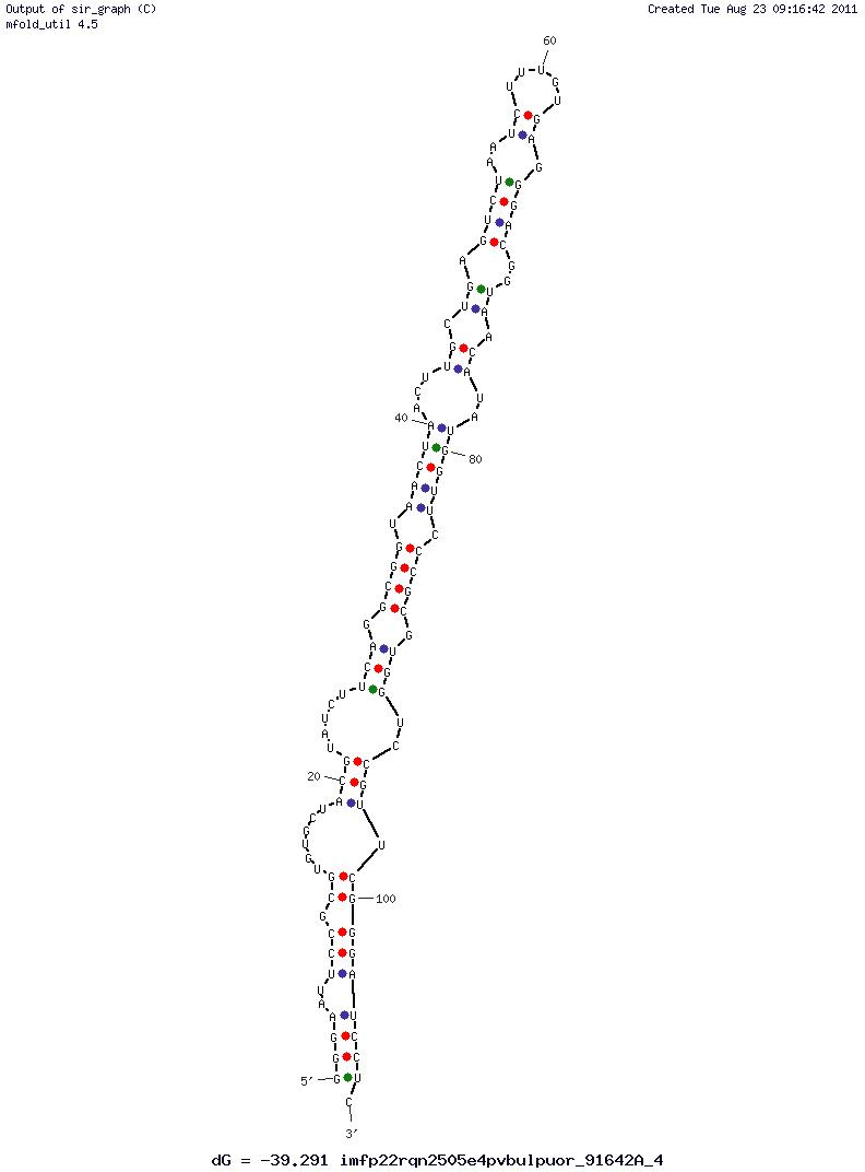 Yeast phenylalanine tRNA (B2) structure