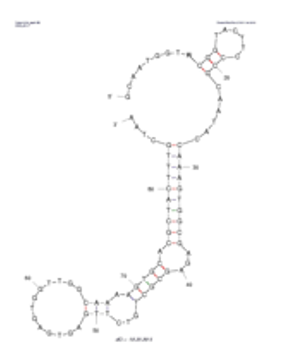 20-7 structure