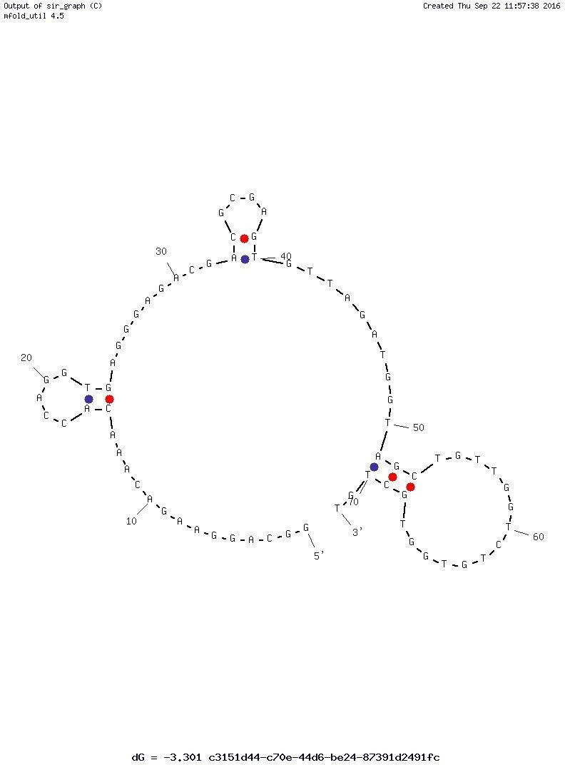 Hemoglobin Aptamer structure