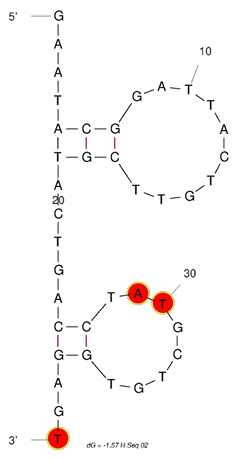H Seq02 against Sterigmatocystin structure