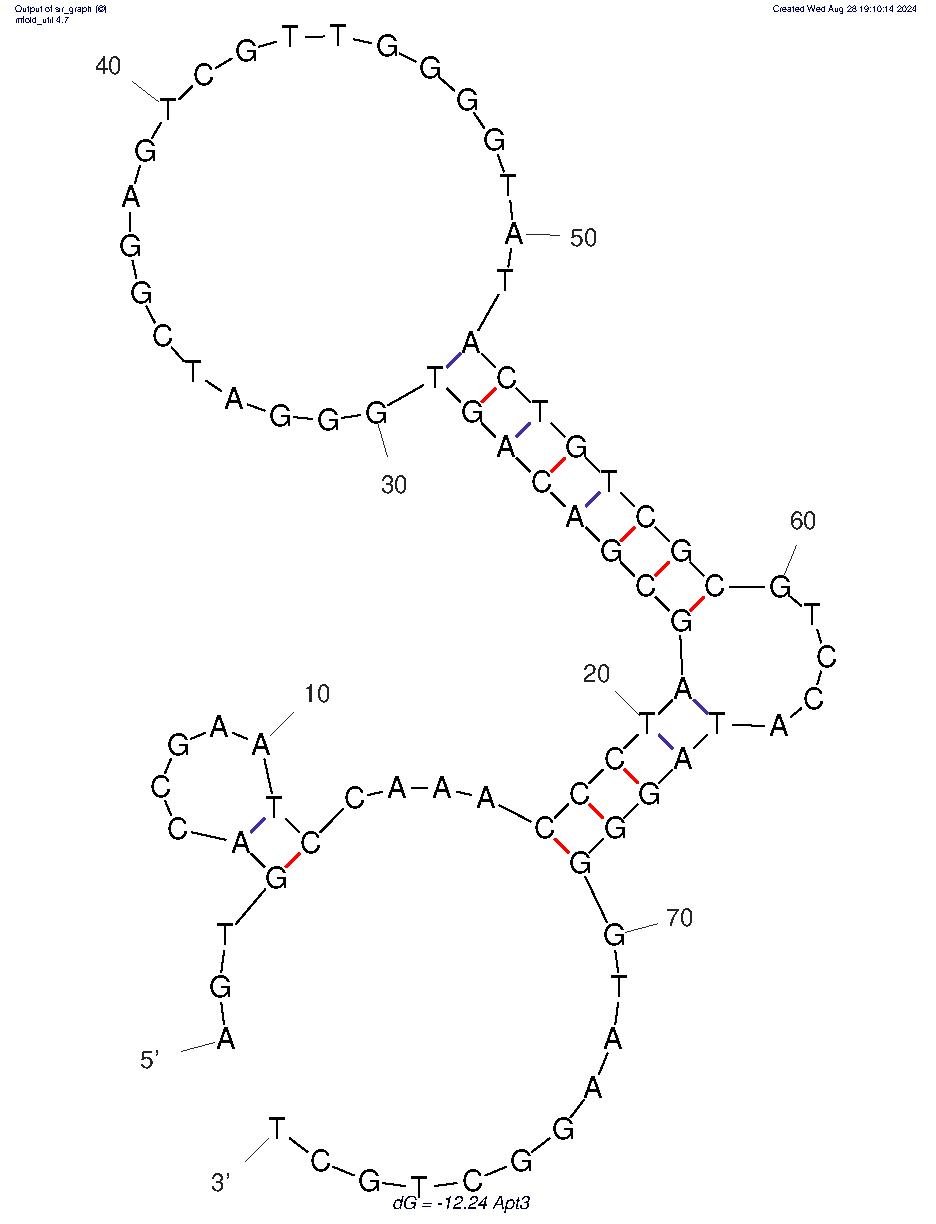 Apt3 structure