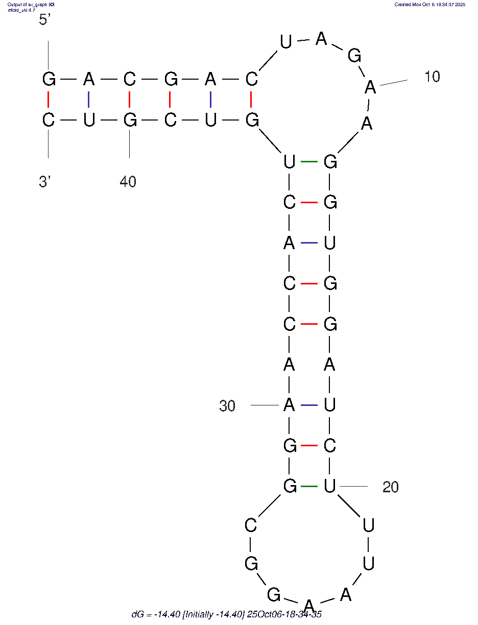 R10X1 structure
