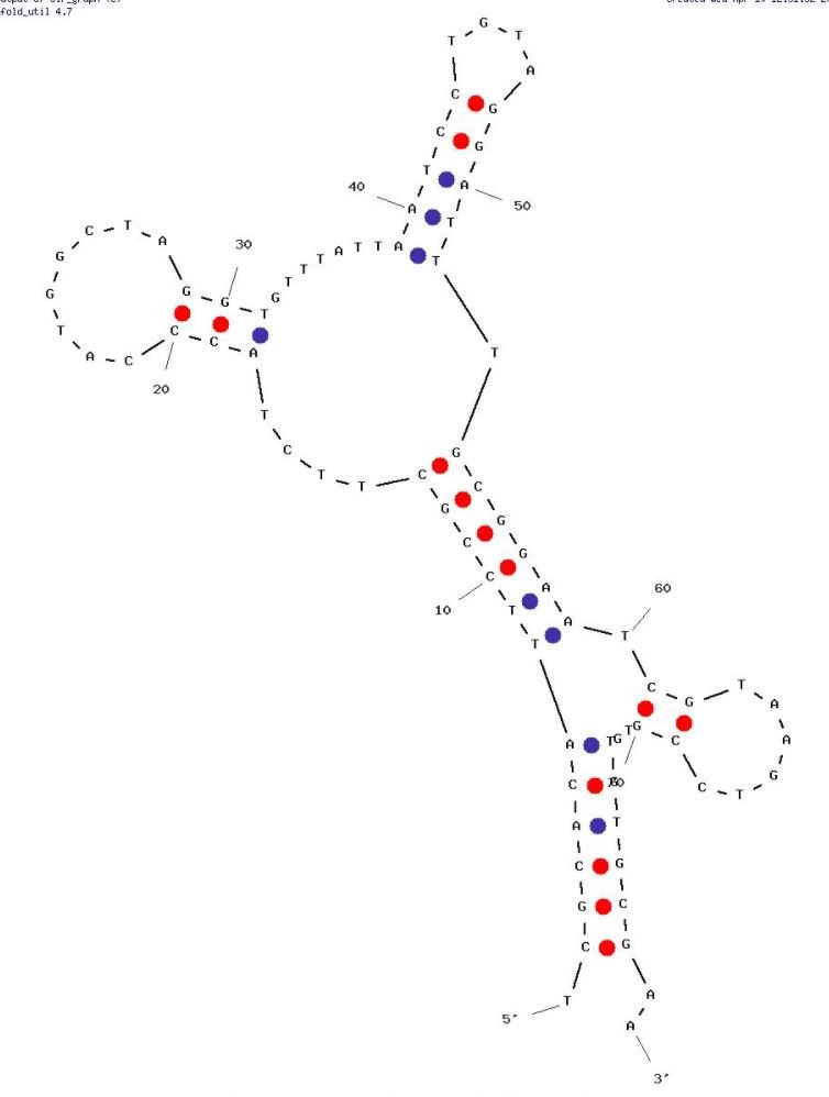 A5 structure