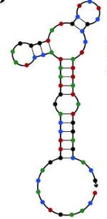 S6-1 structure