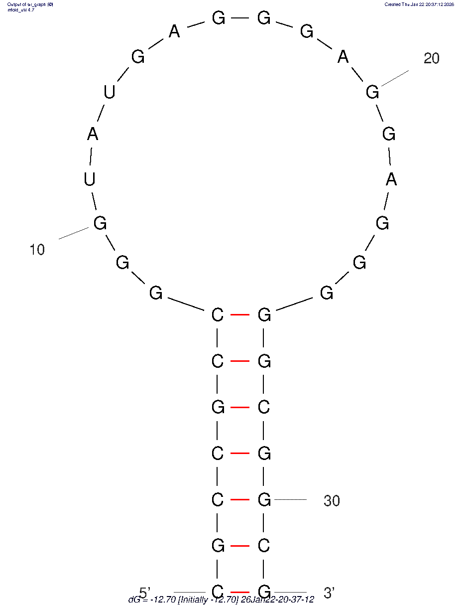 L-Apt12-6 structure